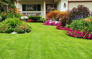 A carefuly kept front yard showing summer colours