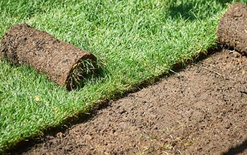 Sod installation