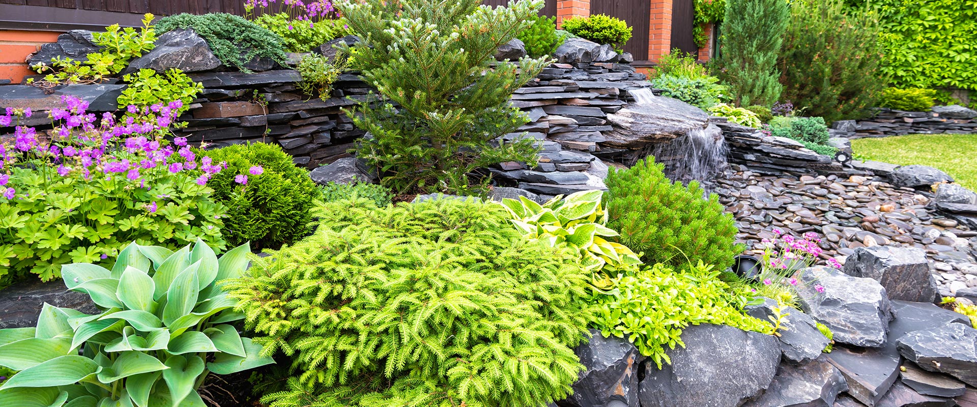 yard with beautifully arranged plants and hardscapes