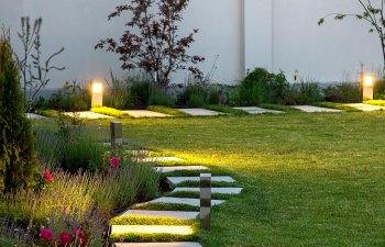 garden with landscape lighting