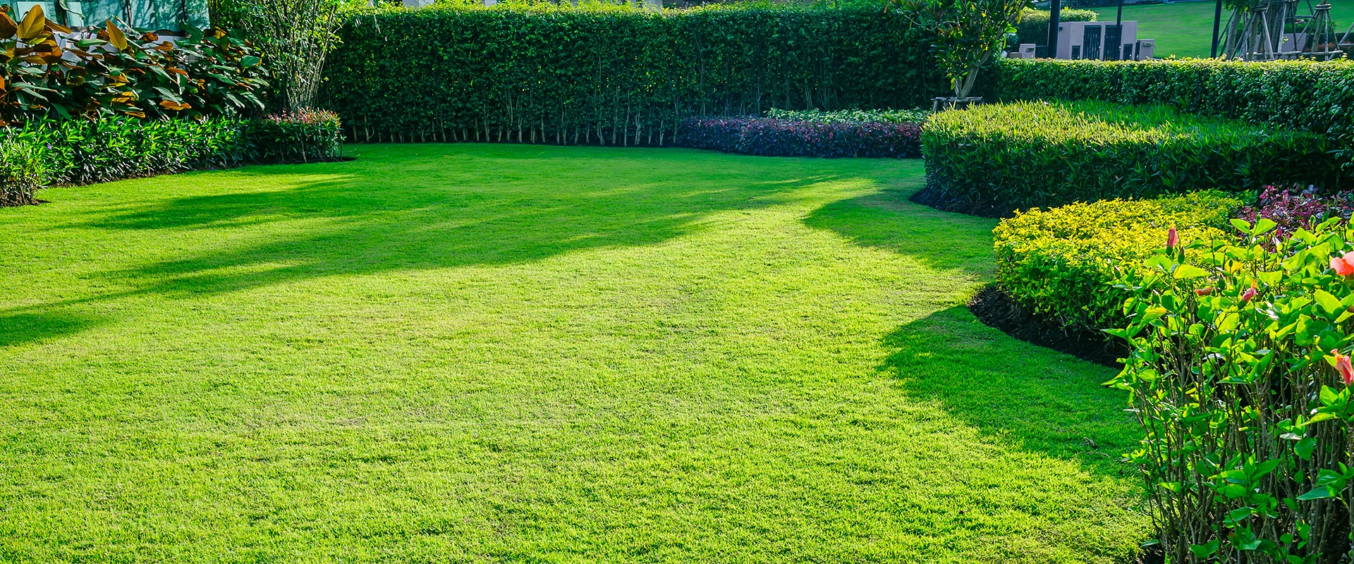 manicured lawn