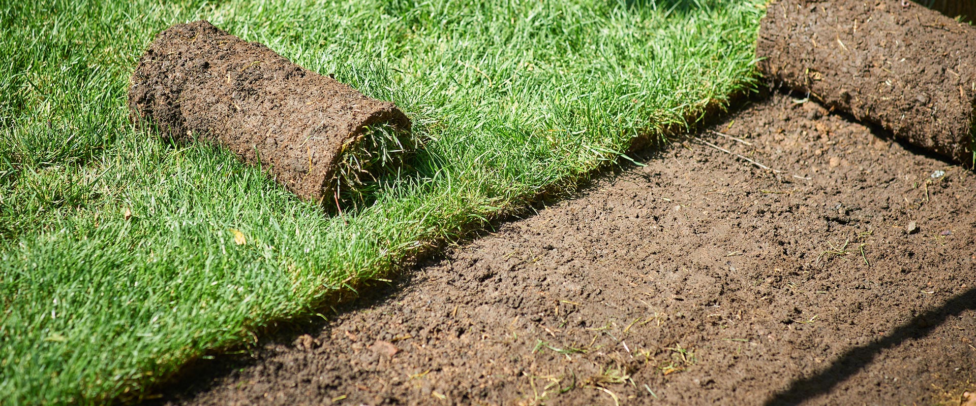 sod installation