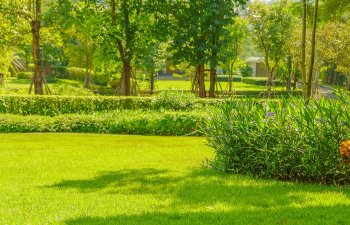 park with trees shrubs and seasonal flowers