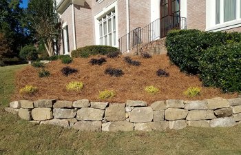 yard with arranged plants and hardscapes