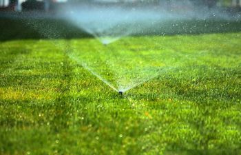 Lawn Sprinkler