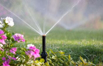 Sprinklers watering lawn and flowers in a garden.