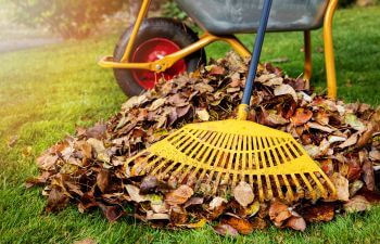 Fall Yard Cleanup